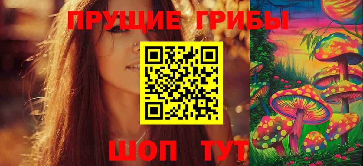 Галлюциногенные грибы мицелий  закладка  Аксай  Вход с VPN 