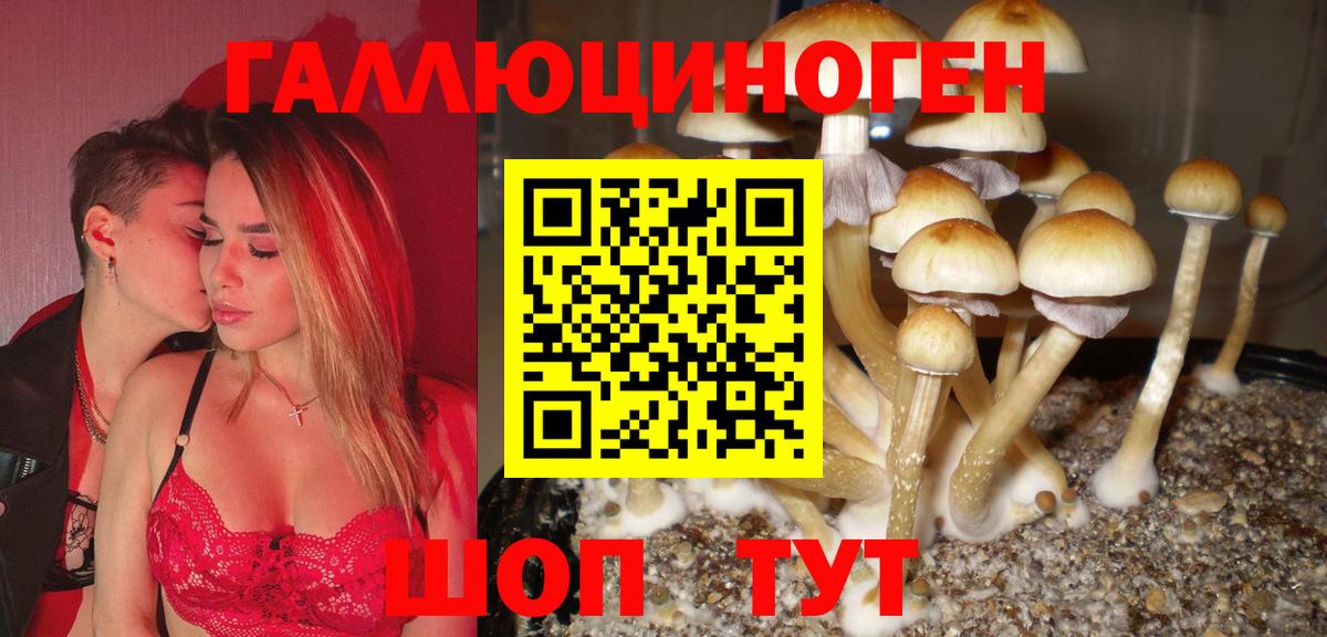 Галлюциногенные грибы Cubensis Аксай
